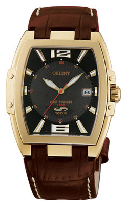 Wrist watch ORIENT for Men - picture, image, photo