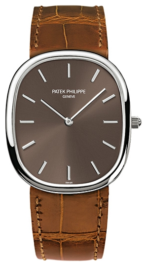 Patek Philippe 3738-100G wrist watches for men - 1 photo, picture, image