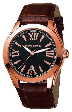 Wrist watch Pierre Cardin for Men - picture, image, photo