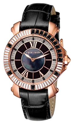 Wrist watch Pierre Cardin for Women - picture, image, photo