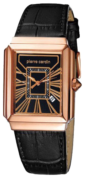 Wrist watch Pierre Cardin for Men - picture, image, photo