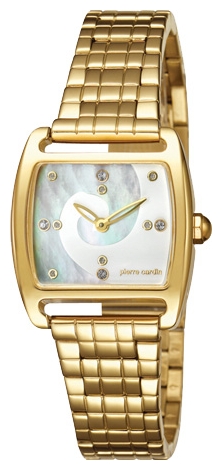 Pierre Cardin PC104152F07 wrist watches for women - 1 image, photo, picture