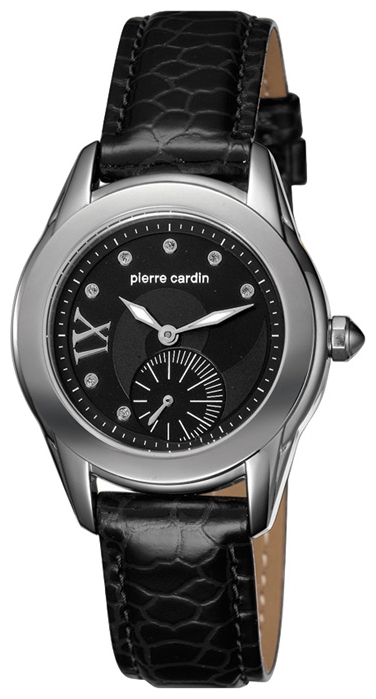 Pierre Cardin PC104302F02 pictures