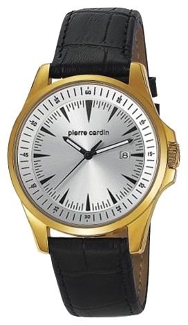 Wrist watch Pierre Cardin for Men - picture, image, photo