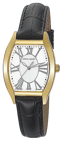 Pierre Cardin PC104552F05 wrist watches for women - 1 photo, image, picture