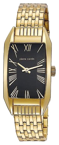 Wrist watch Pierre Cardin for Women - picture, image, photo