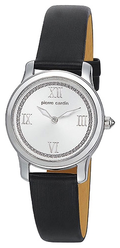 Pierre Cardin PC104302F01 pictures