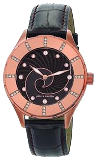 Wrist watch Pierre Cardin for Women - picture, image, photo