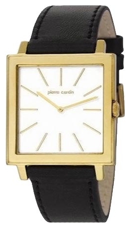 Pierre Cardin PC105351F03 wrist watches for men - 2 picture, photo, image