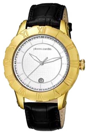 Wrist watch Pierre Cardin for Men - picture, image, photo