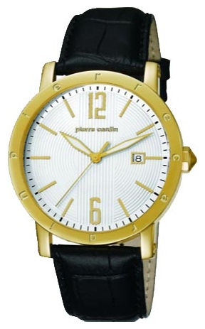Pierre Cardin PC105451F08 wrist watches for men - 1 image, photo, picture