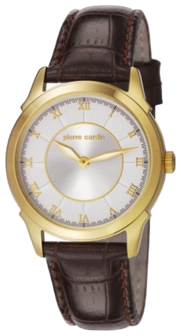 Pierre Cardin PC106072F03 wrist watches for men - 1 image, picture, photo