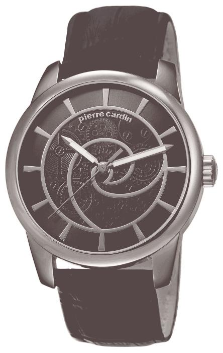 Pierre Cardin PC106101F01 pictures