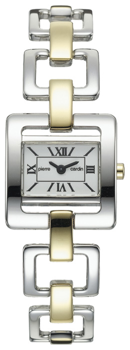 Wrist watch Pierre Cardin for Women - picture, image, photo