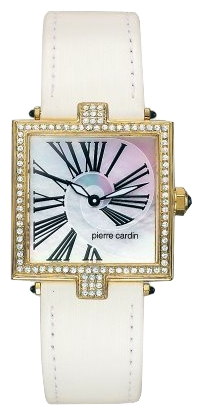 Pierre Cardin PC100642F02 pictures
