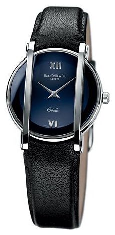 Raymond Weil 2010-STC-00580 wrist watches for men - 1 picture, photo, image