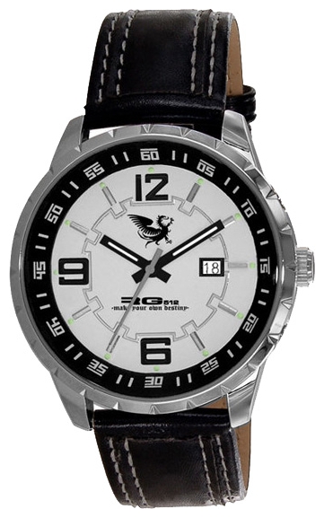 Men's wrist watch RG512 G50851.204 - 1 picture, photo, image