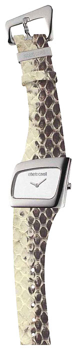 Wrist watch Roberto Cavalli for Women - picture, image, photo