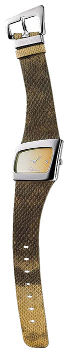 Wrist watch Roberto Cavalli for Women - picture, image, photo