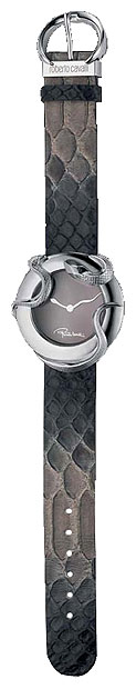 Wrist watch Roberto Cavalli for Women - picture, image, photo