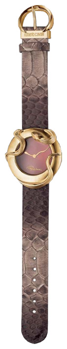Roberto Cavalli 7251 165 517 wrist watches for women - 1 photo, picture, image