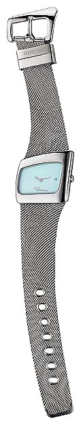 Wrist watch Roberto Cavalli for Women - picture, image, photo