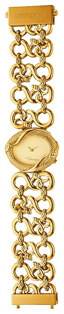 Wrist watch Roberto Cavalli for Women - picture, image, photo