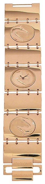 Wrist watch Roberto Cavalli for Women - picture, image, photo