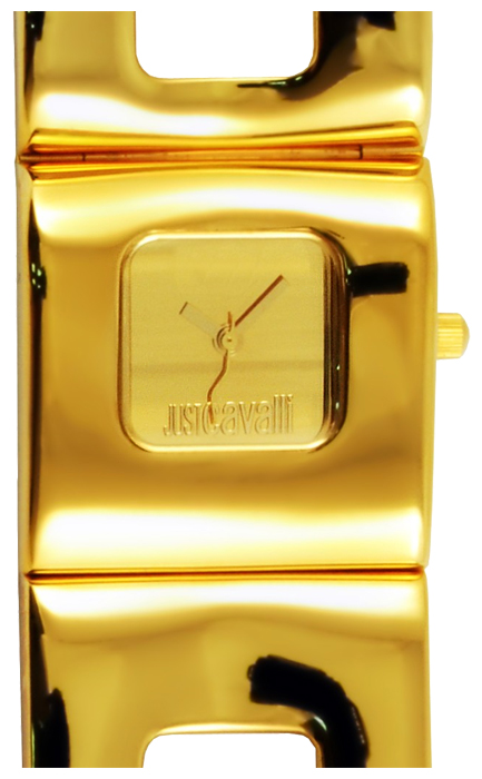 Roberto Cavalli 7253 425 617 wrist watches for women - 2 image, picture, photo