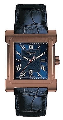 Salvatore Ferragamo F58LBQ6504S004 wrist watches for men - 1 picture, image, photo