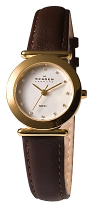 Skagen 107SGLD wrist watches for women - 1 photo, image, picture