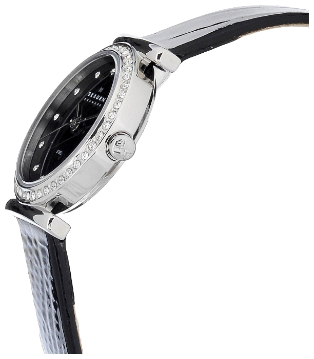 Skagen 108SBLB wrist watches for women - 2 photo, image, picture