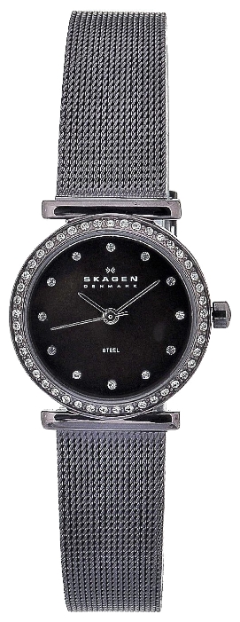 Skagen 108SDD wrist watches for women - 1 image, photo, picture