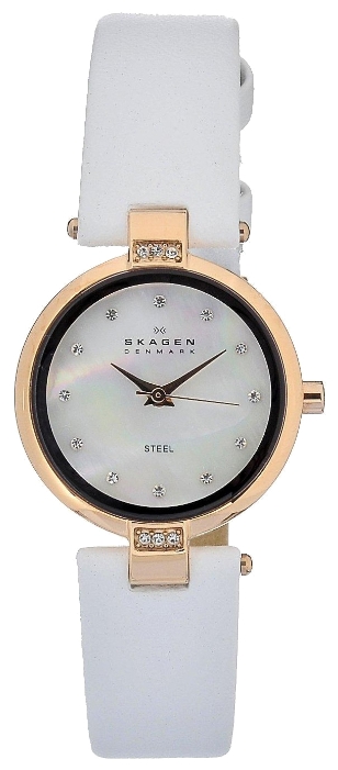 Skagen 109SRLW wrist watches for women - 1 image, picture, photo