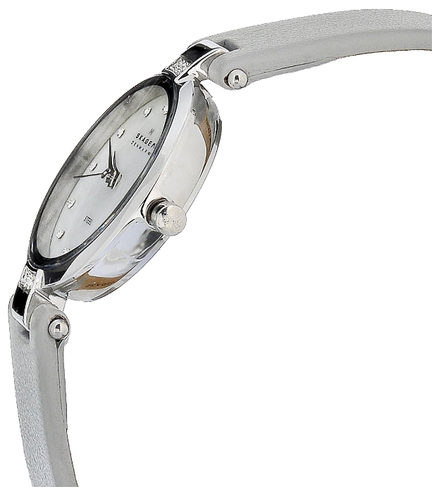 Skagen 109SSLML wrist watches for women - 2 image, picture, photo