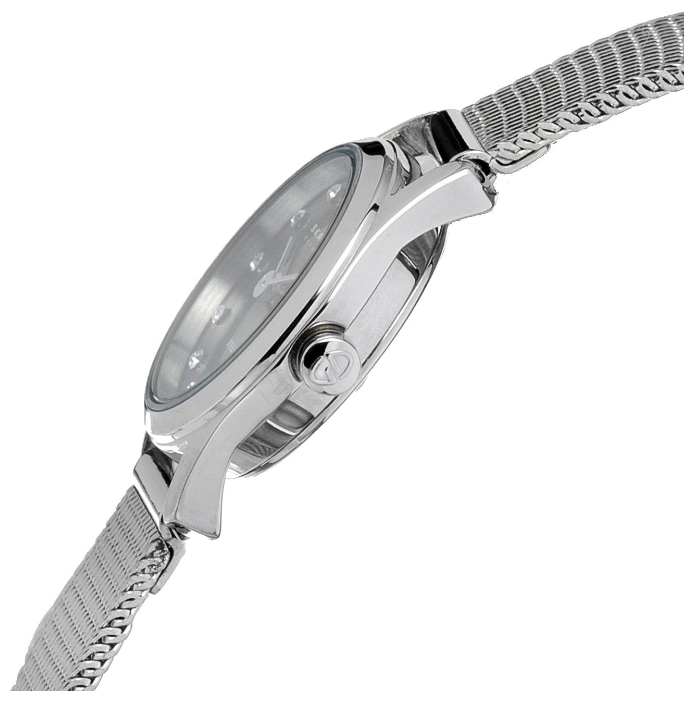 Skagen 126XSSSB wrist watches for women - 2 photo, picture, image
