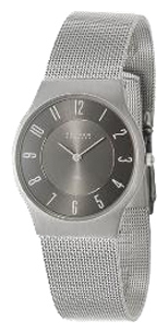 Wrist watch Skagen for Men - picture, image, photo