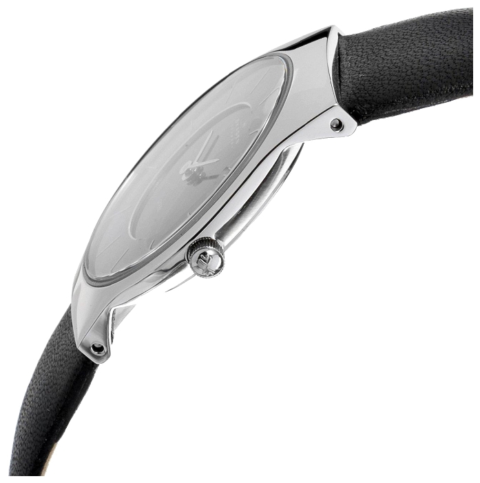 Skagen 233SSLB wrist watches for men - 2 image, photo, picture