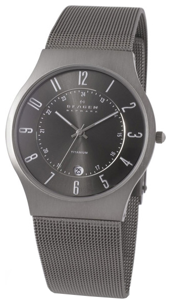 Skagen 233XLTTM wrist watches for men - 1 photo, picture, image