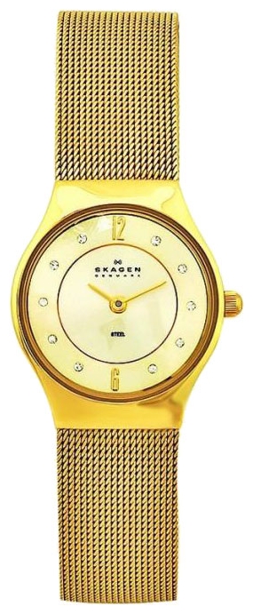 Wrist watch Skagen for Women - picture, image, photo