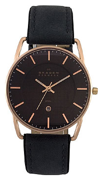 Skagen 241LRLB wrist watches for men - 2 photo, image, picture