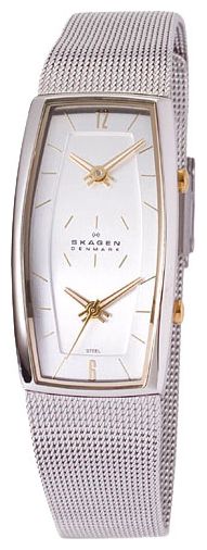 Skagen 281SGSC wrist watches for men - 1 image, picture, photo