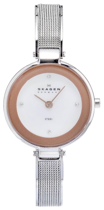 Skagen 323SSR wrist watches for women - 1 photo, image, picture