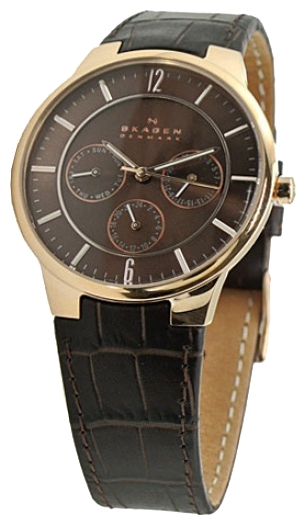Skagen 331XLRLDO wrist watches for men - 1 picture, photo, image