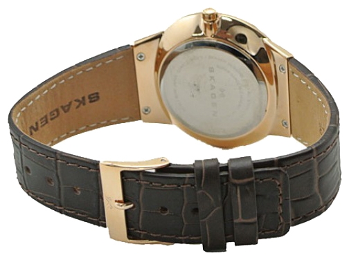 Skagen 331XLRLDO wrist watches for men - 2 picture, photo, image