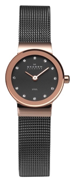 Wrist watch Skagen for Women - picture, image, photo