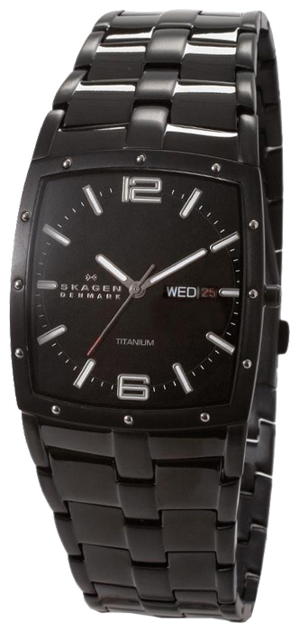 Skagen 396LTMXB wrist watches for men - 1 picture, photo, image