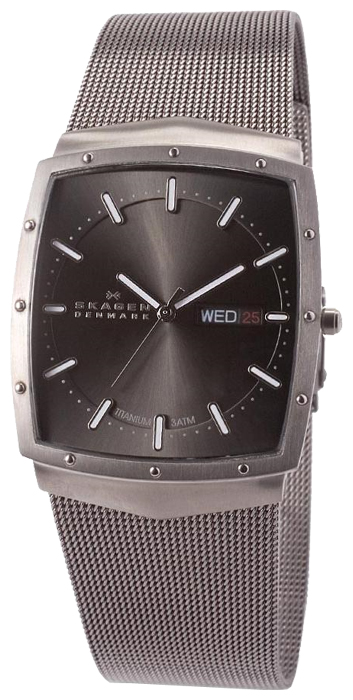 Skagen 396LTTM wrist watches for men - 1 photo, image, picture