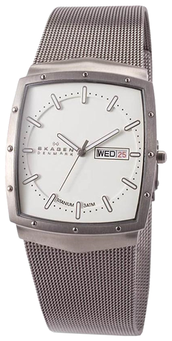Skagen 396LTTW wrist watches for men - 1 picture, image, photo