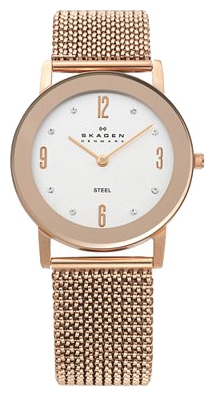 Wrist watch Skagen for Women - picture, image, photo